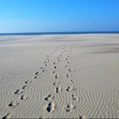 In By The Nieuwpoort