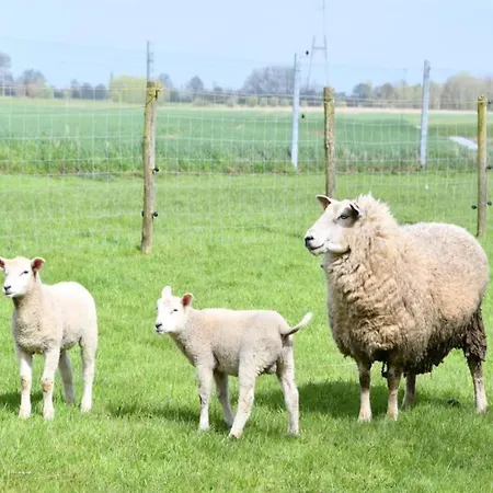 Apartamento In By The Nieuwpoort