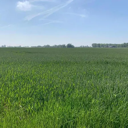 Lägenhet In By The Nieuwpoort