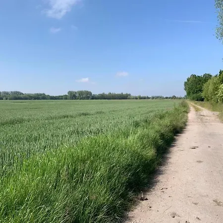 In By The Nieuwpoort